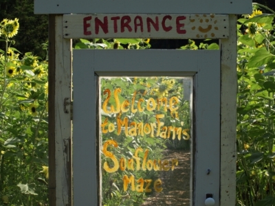   The entrance to the sunflower maze is an original door from the historic farmhouse on the Manor Road property.&nbsp;  Long Islander News photos/Connor Beach  