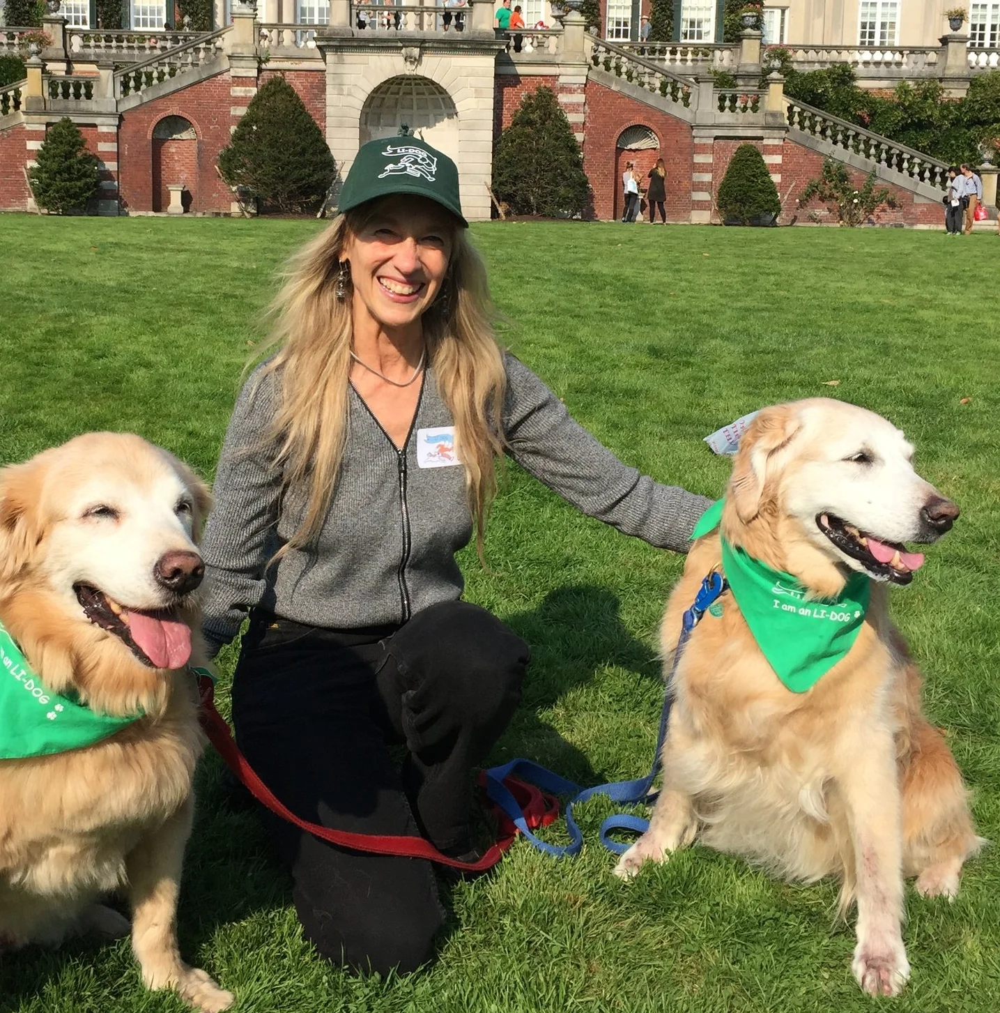 Tails Wagging Over New Dog-Friendly Law