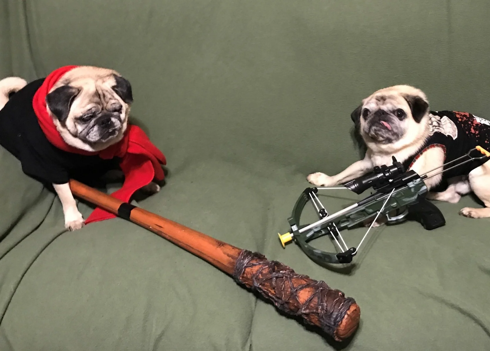 Town's First Halloween Costume Photo Contest Boasts Prizes, Donation