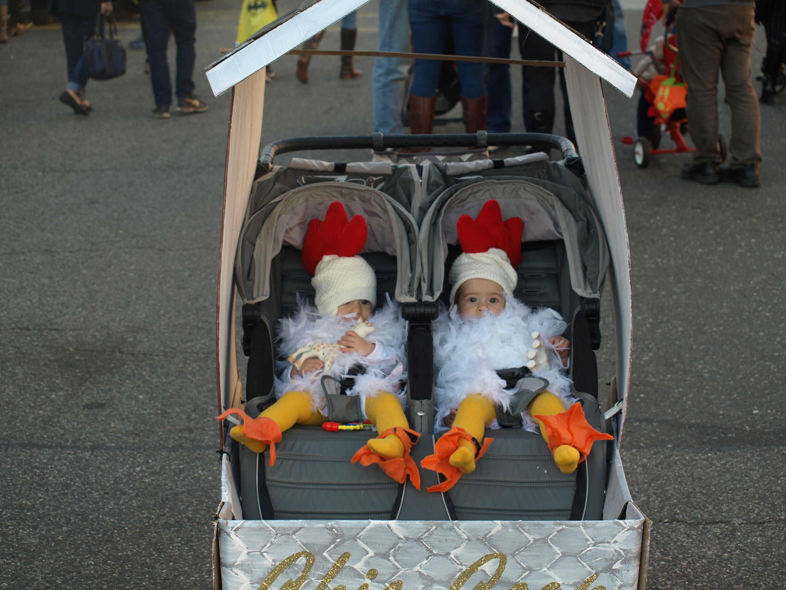   Twin chicks braved the cold weather together in their “chicken coup” stroller.&nbsp;  Long Islander News Photo/Connor Beach  