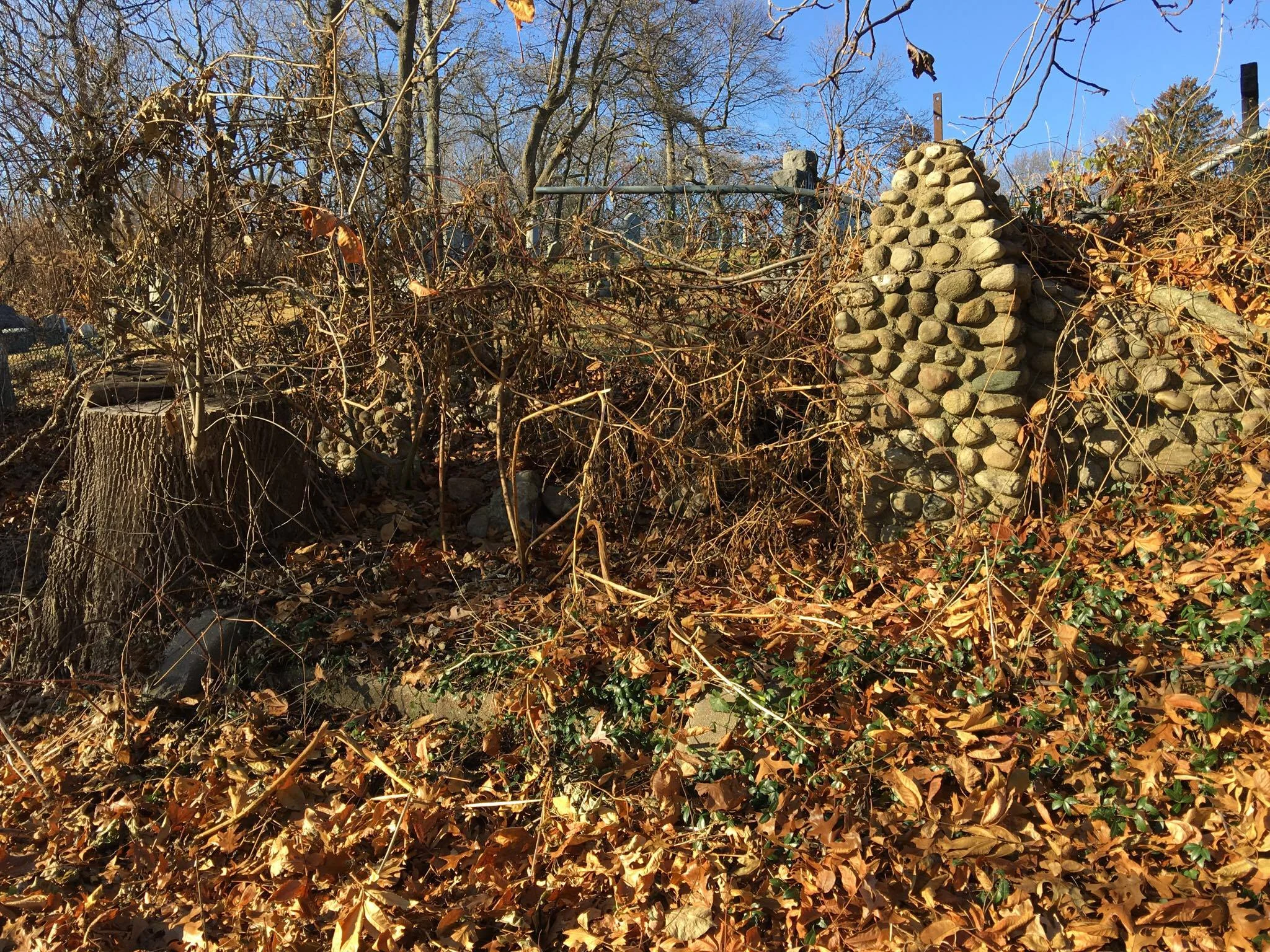 Resident Wants To Preserve Historic Remains