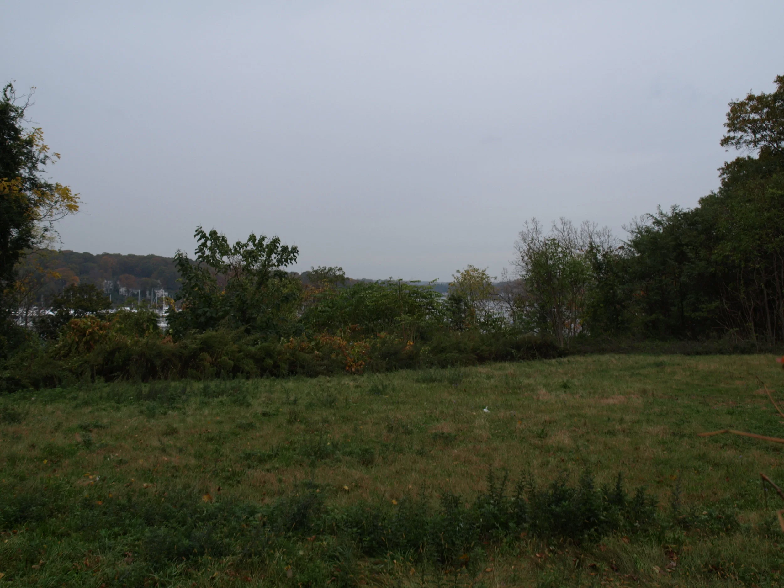   A portion of the 5.6-acre property at 1 Noyes Lane, Halesite, where a developer wants to create an eight-lot subdivision.  