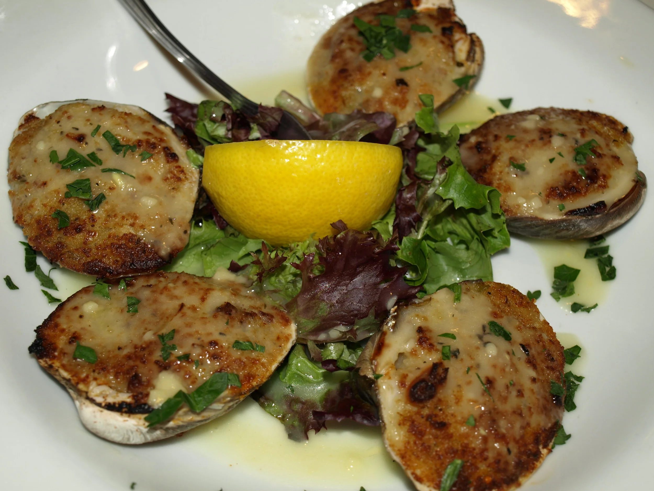 Continental Classics At The Bonwit Inn