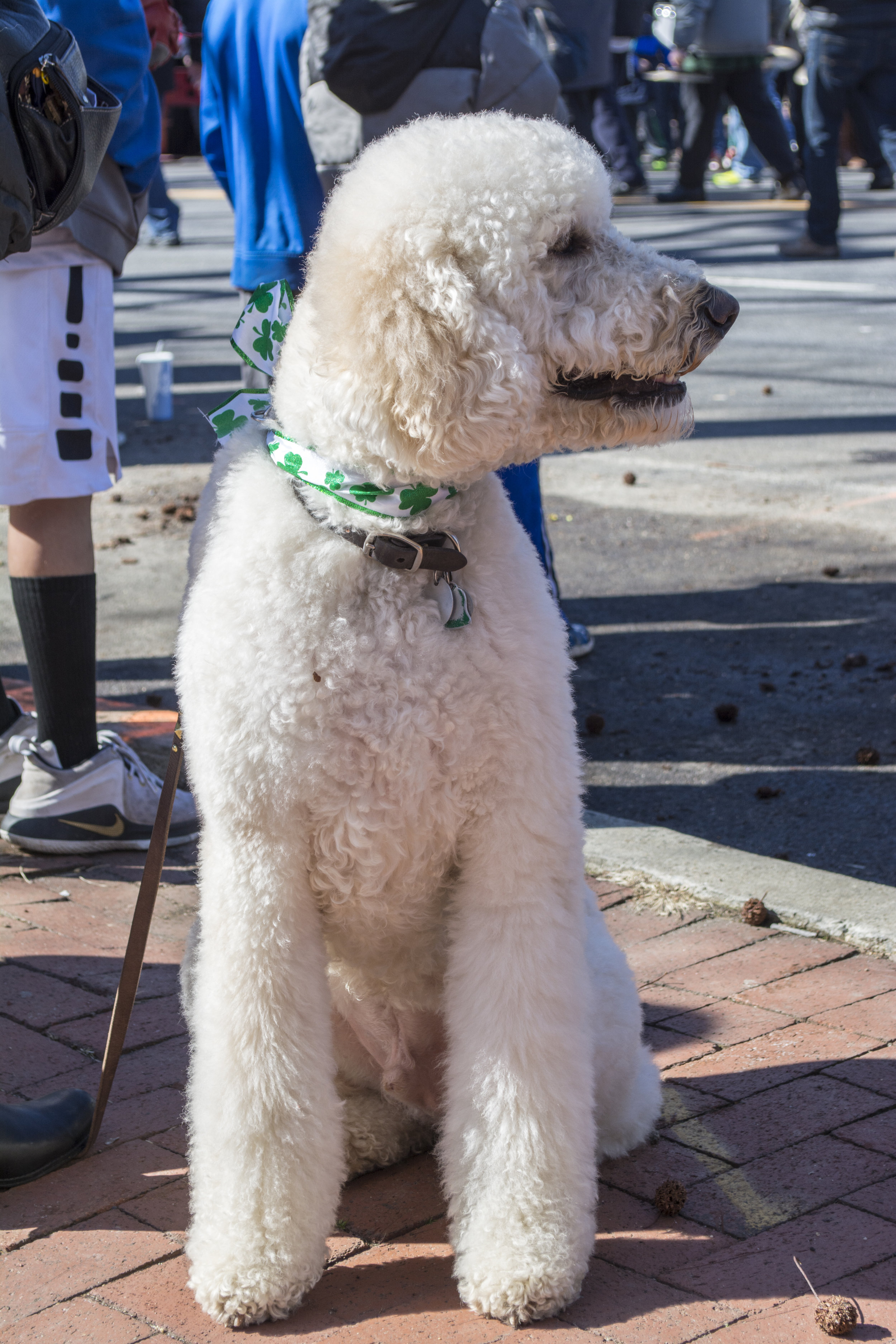 StPats2018_13.jpg