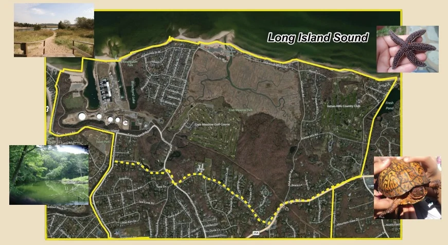 Draft Crab Meadow Report Released By Town