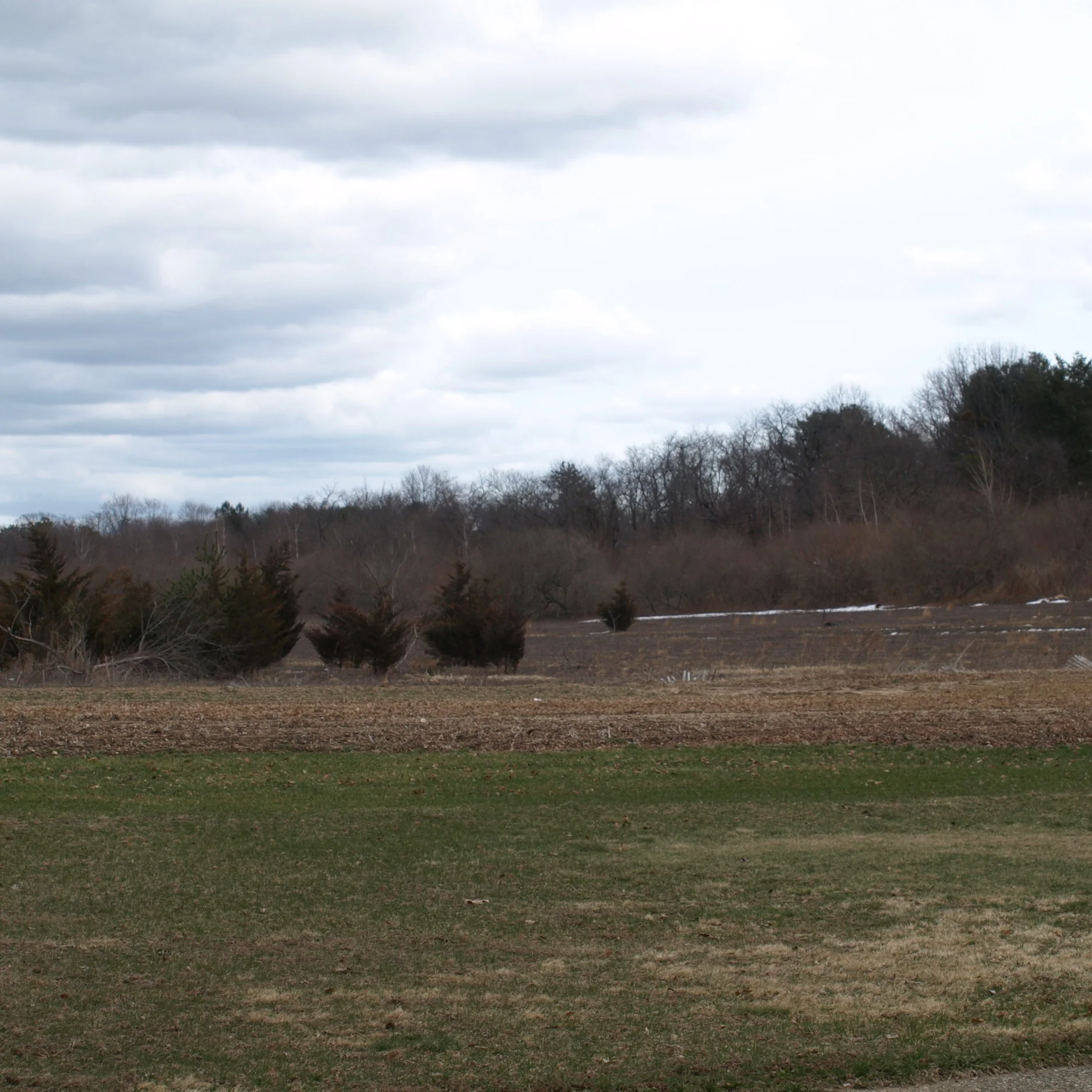 Developers Plan 17-Lot Subdivision In Melville