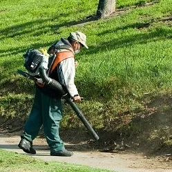 Residents Want Board To Go Further With Leaf Blower Law