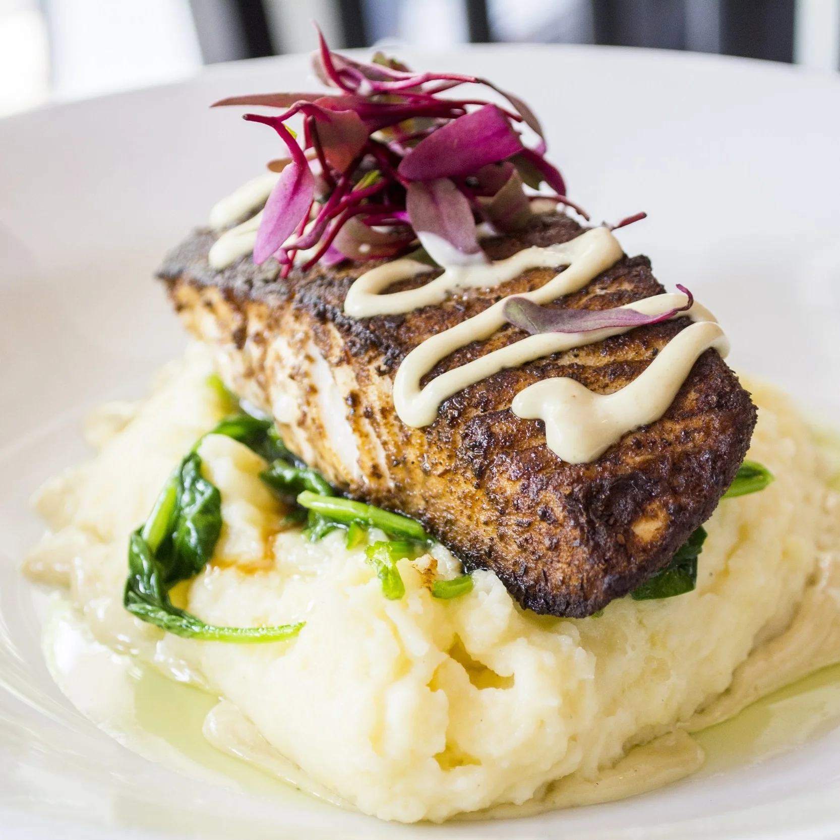 Fare, Ambiance Continue To Impress At Grasso’s