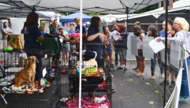 Pet-A-Palooza at Huntington’s Little Shelter united families with new pets. Photo/Little Shelter