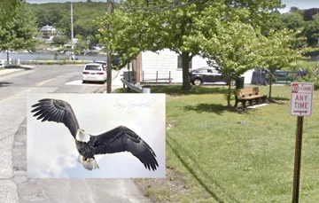 Centershore Road in Centerport near the intersection of Mill Dam Road, above, won’t be getting “No Stopping” signs after fans of the Centerport eagles, inset, rallied the town board Tuesday. Inset photo/Rainey Sepulveda