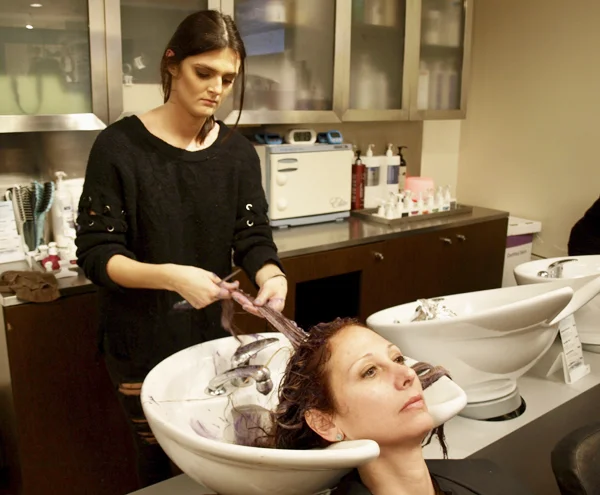 Elysian uses Eufora products that contain organic aloe, natural plant extracts and essential oils to give clients wonderful color and shine.