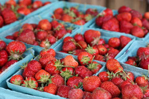 Farmstand favorite Orchards of Concklin returns to the Long Island Growers Market this weekend. It was one of several vendors barred over restrictions only allowing Long Island-based vendors to sell at the market,