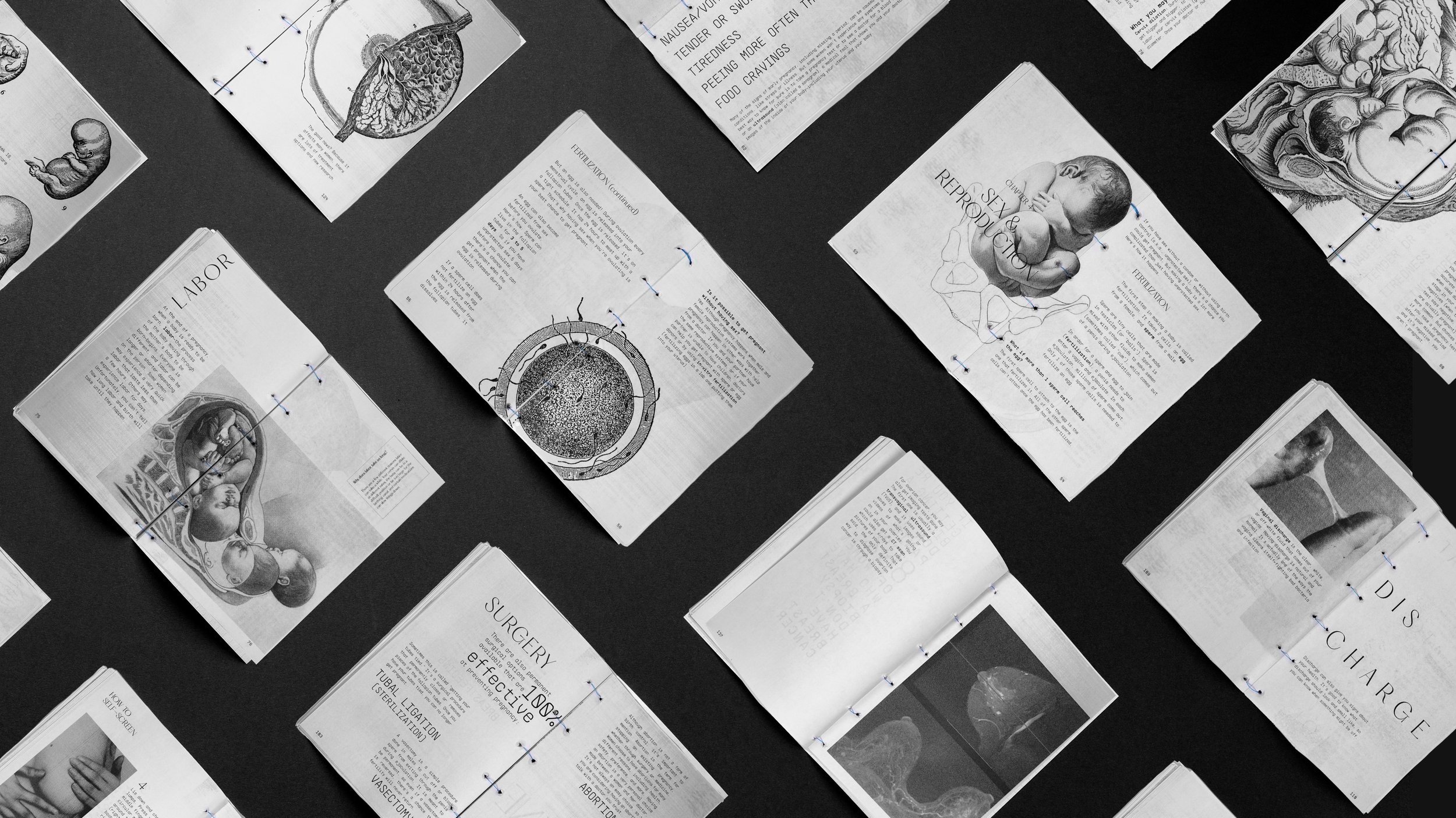 Contrabanned Case Study Video