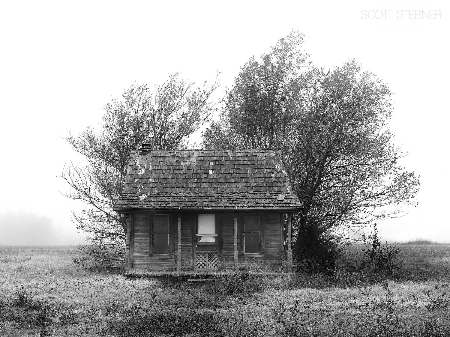 Choosing a Digital Medium Format Rig and the Credo 40