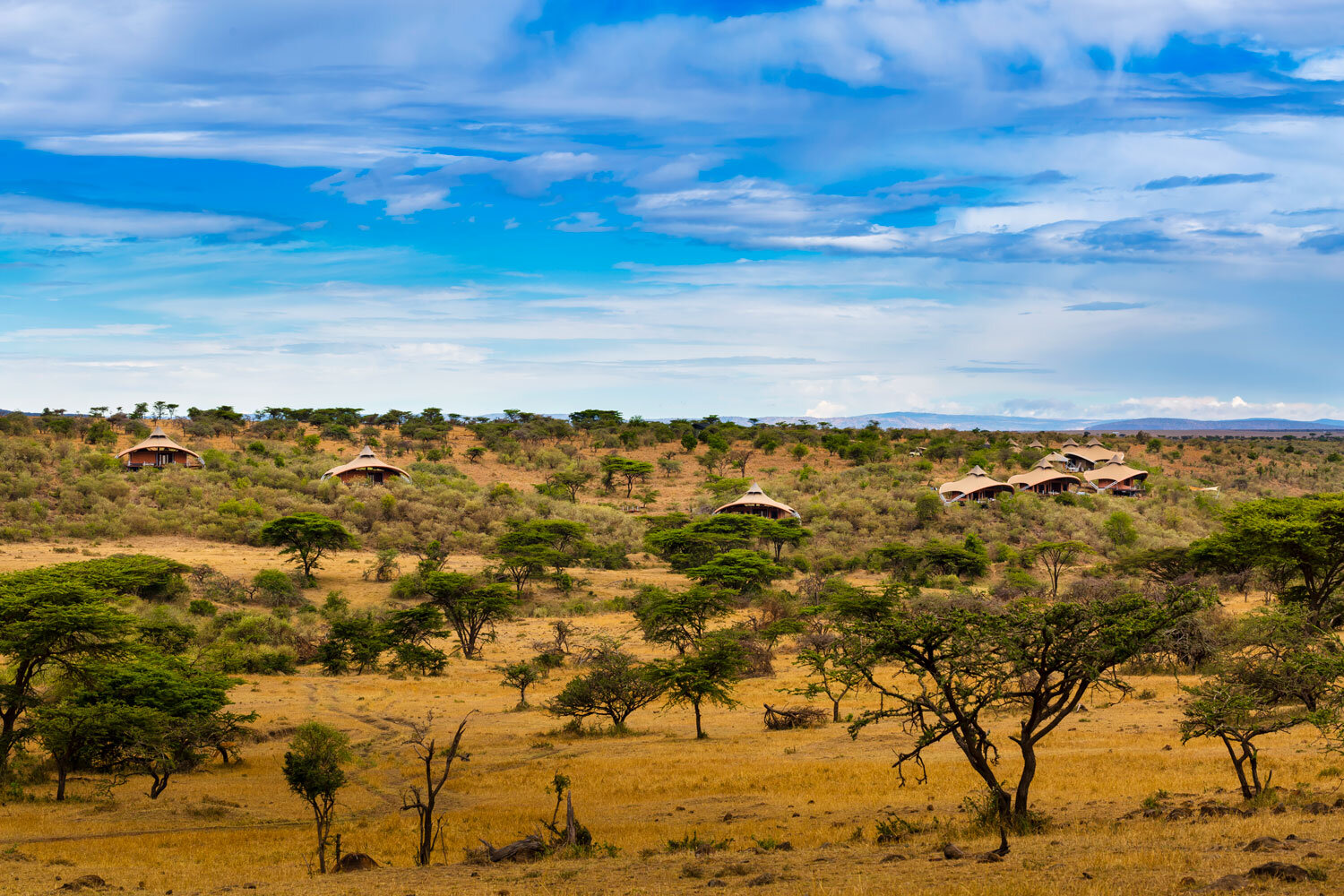 mahali-mzuri-masaai-mara