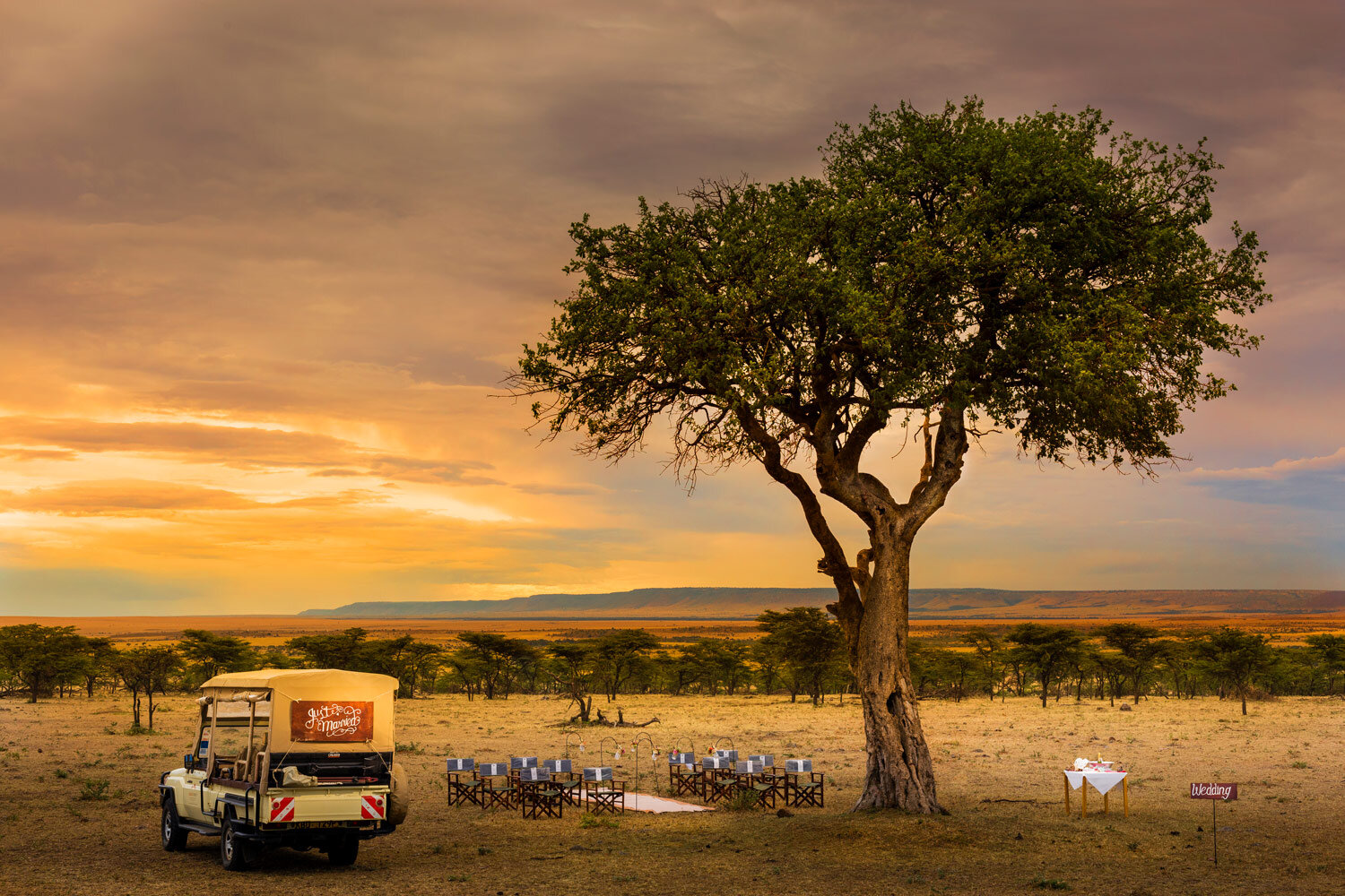 safari-wedding-masaai-mara