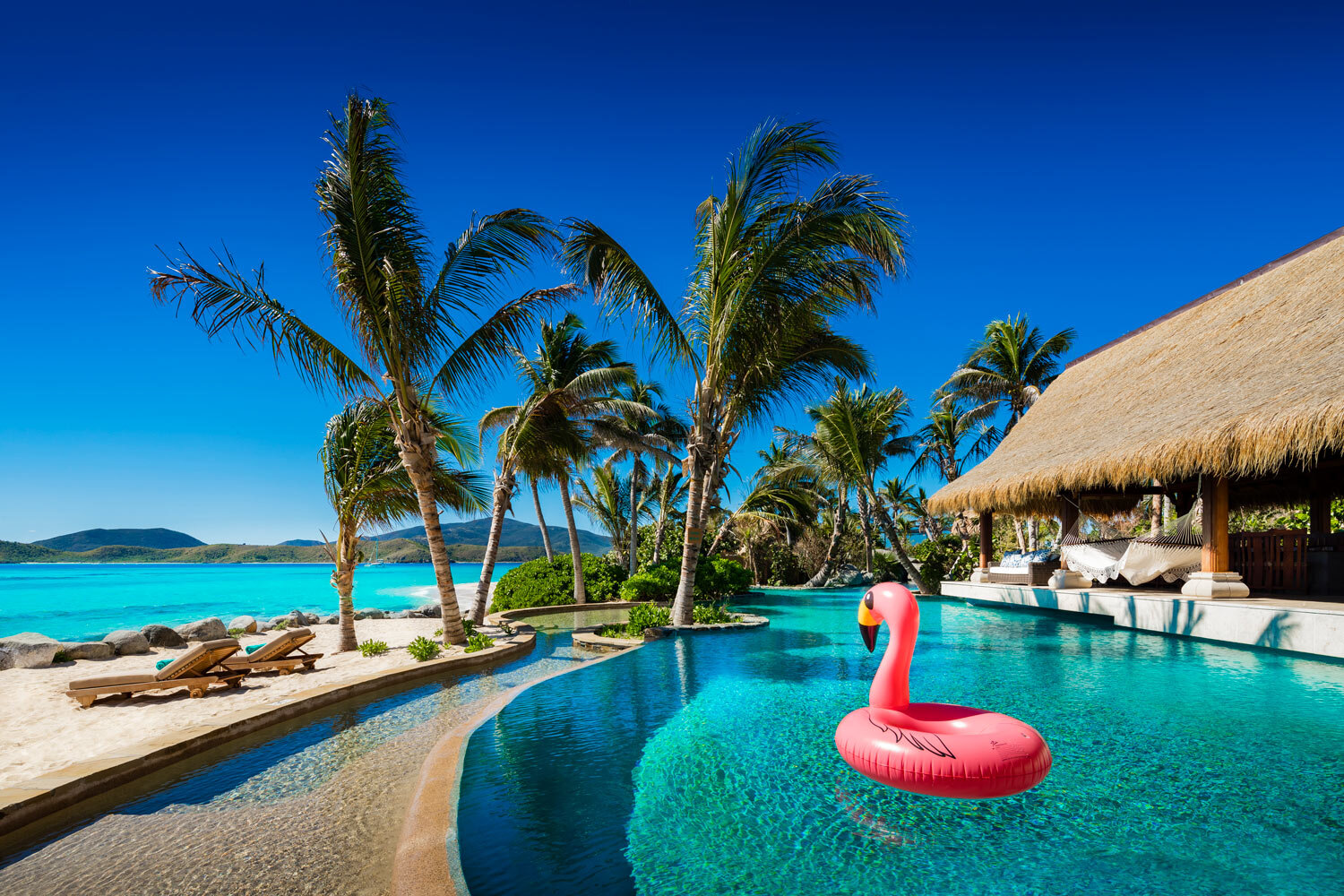 flamingo-swimming-pool-photography-necker-island