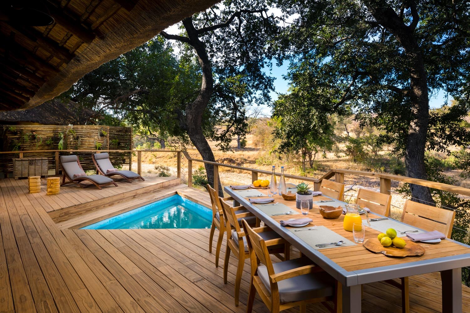 private-terrace-with-safari-views-ulusaba