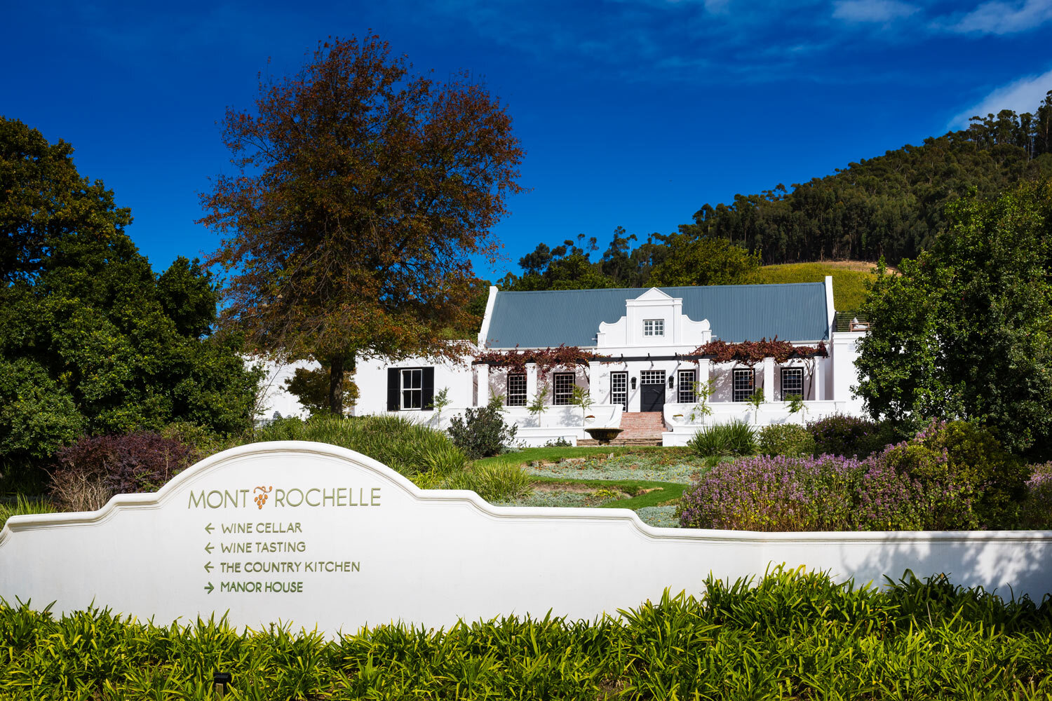 visual-eye-photography-from-franschhoek