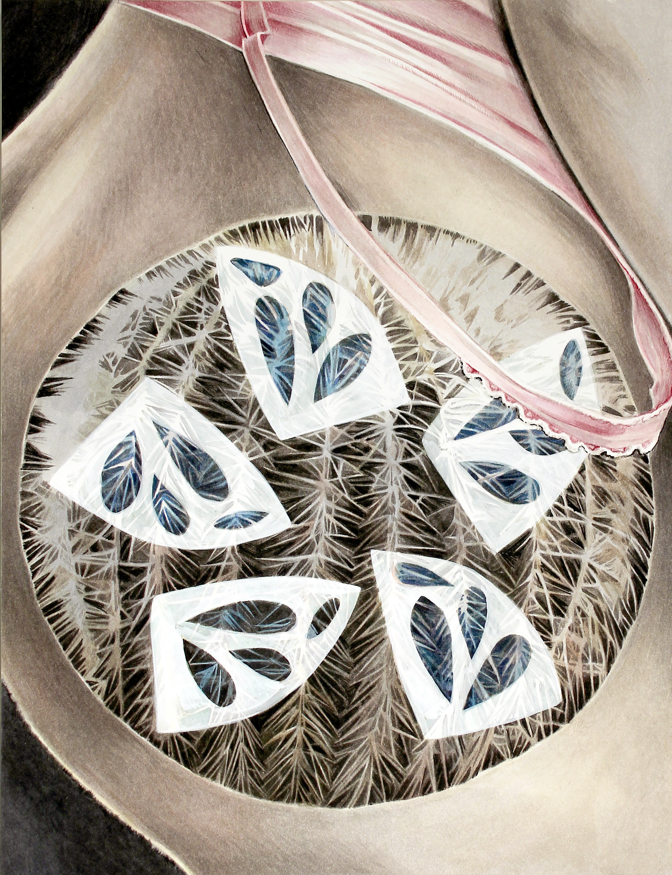 Ball Cactus with Dolly (Copy)