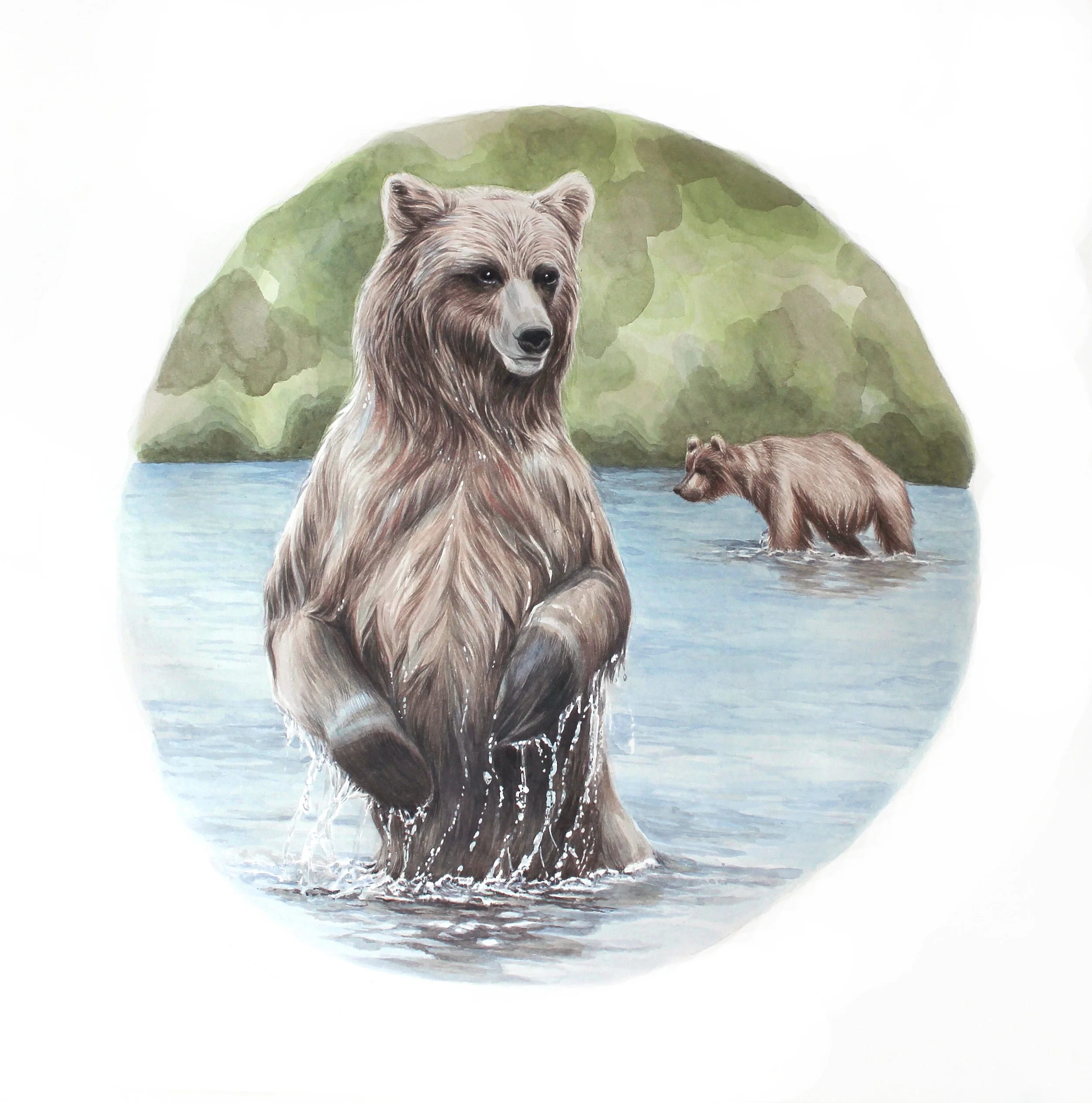 grizzlebear.jpg