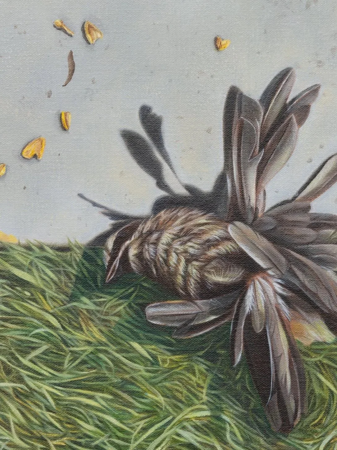 Mockingbird’s Bardo, Cloverdale Ave, 2025