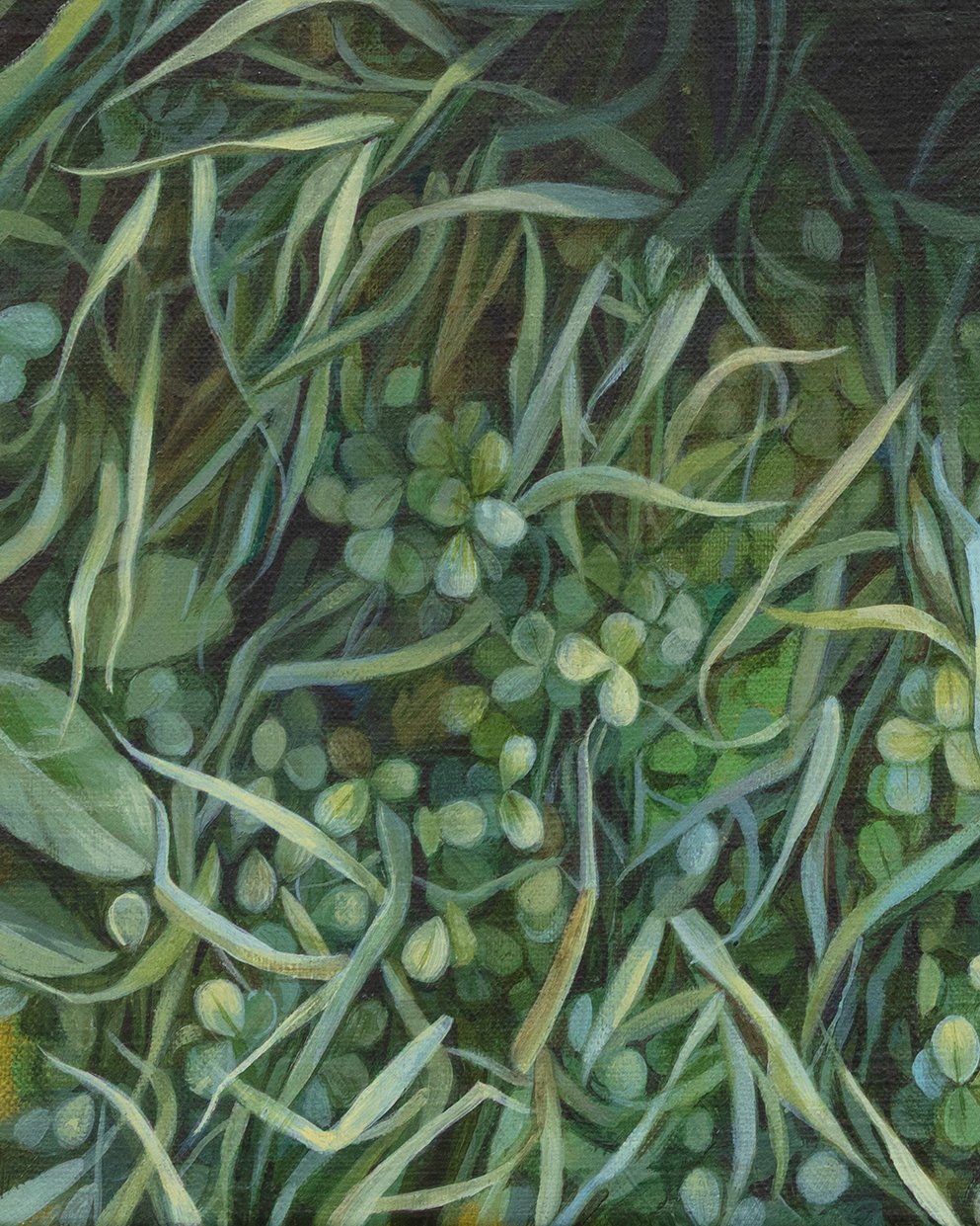 rug in the grass detail 1.jpg