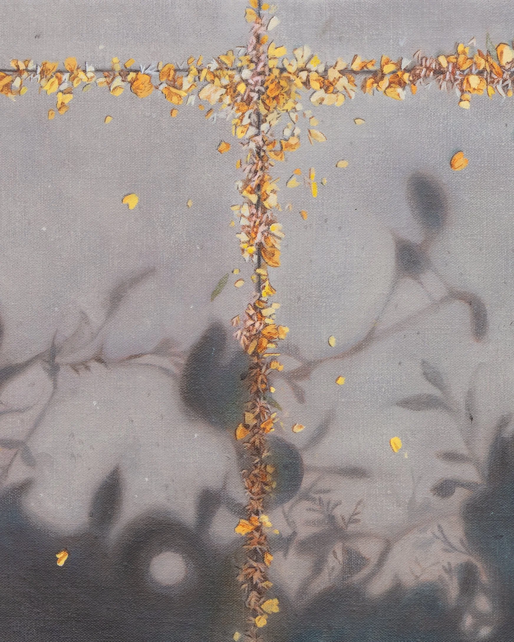 seasonal geomettry detail 1.jpg