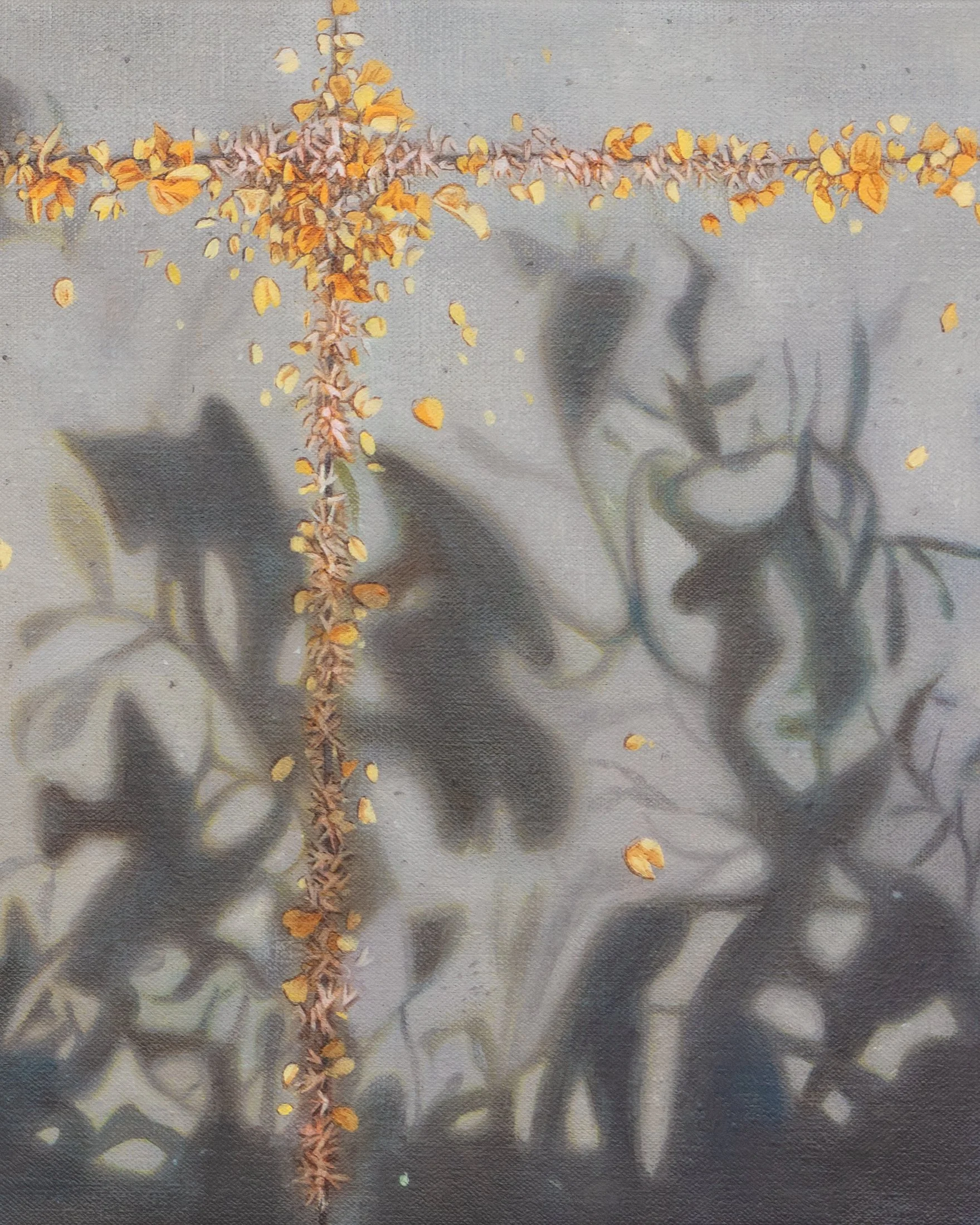 seasonal geomettry detail 2.jpg