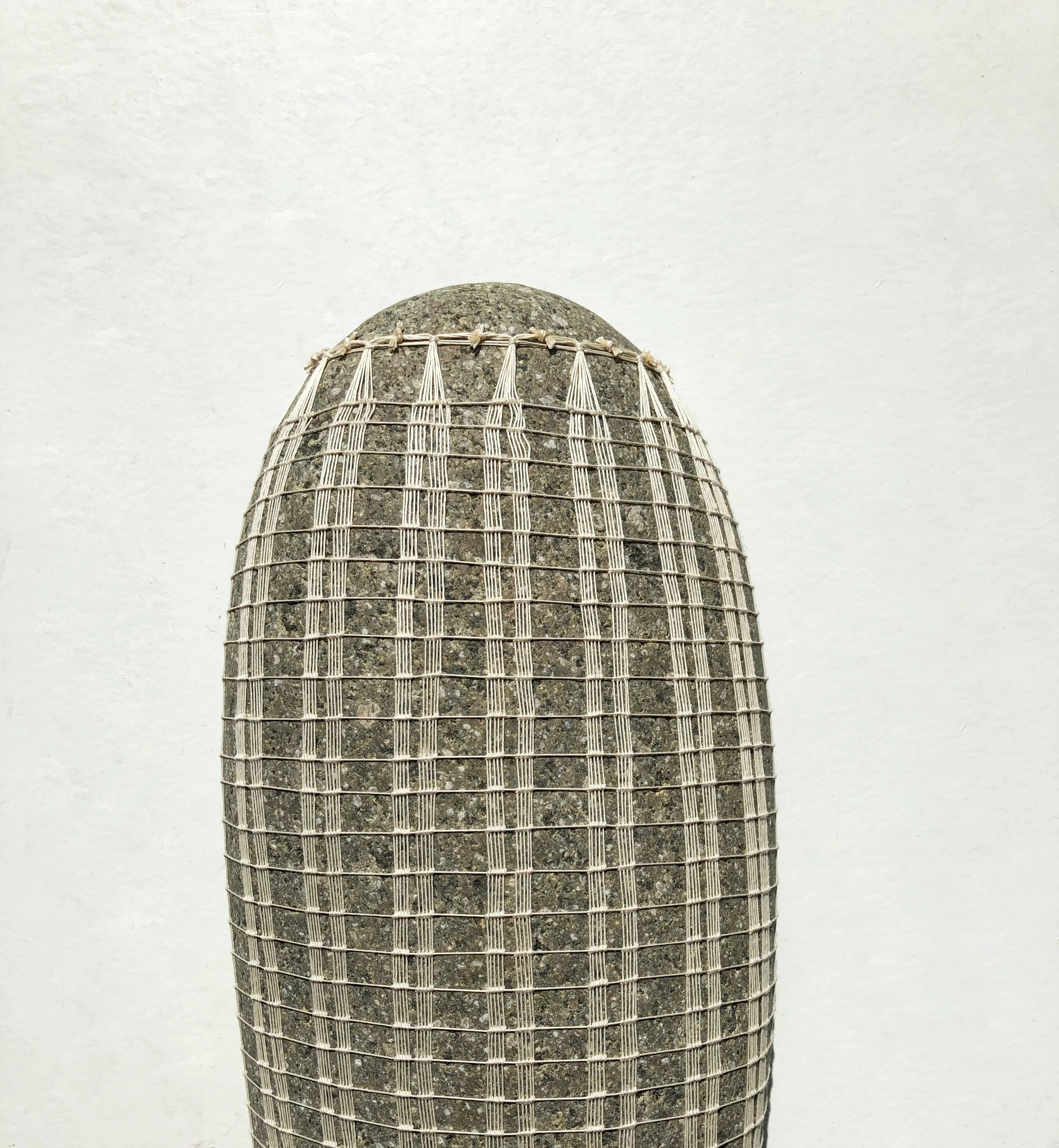 largest stone crop.jpeg