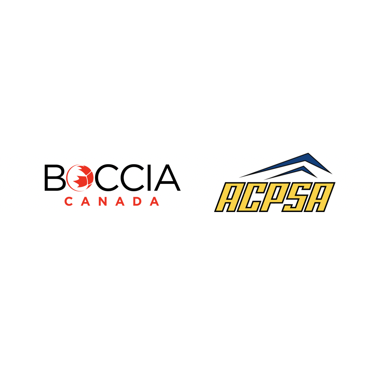 Athletes Showcase Talent at 2019 Alberta Boccia Championships 