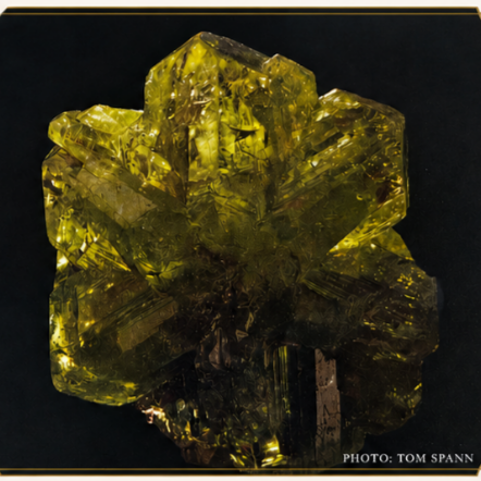 The Conservatory | Small Wing Rock &amp; Mineral Exhibition Galleries    OPEN