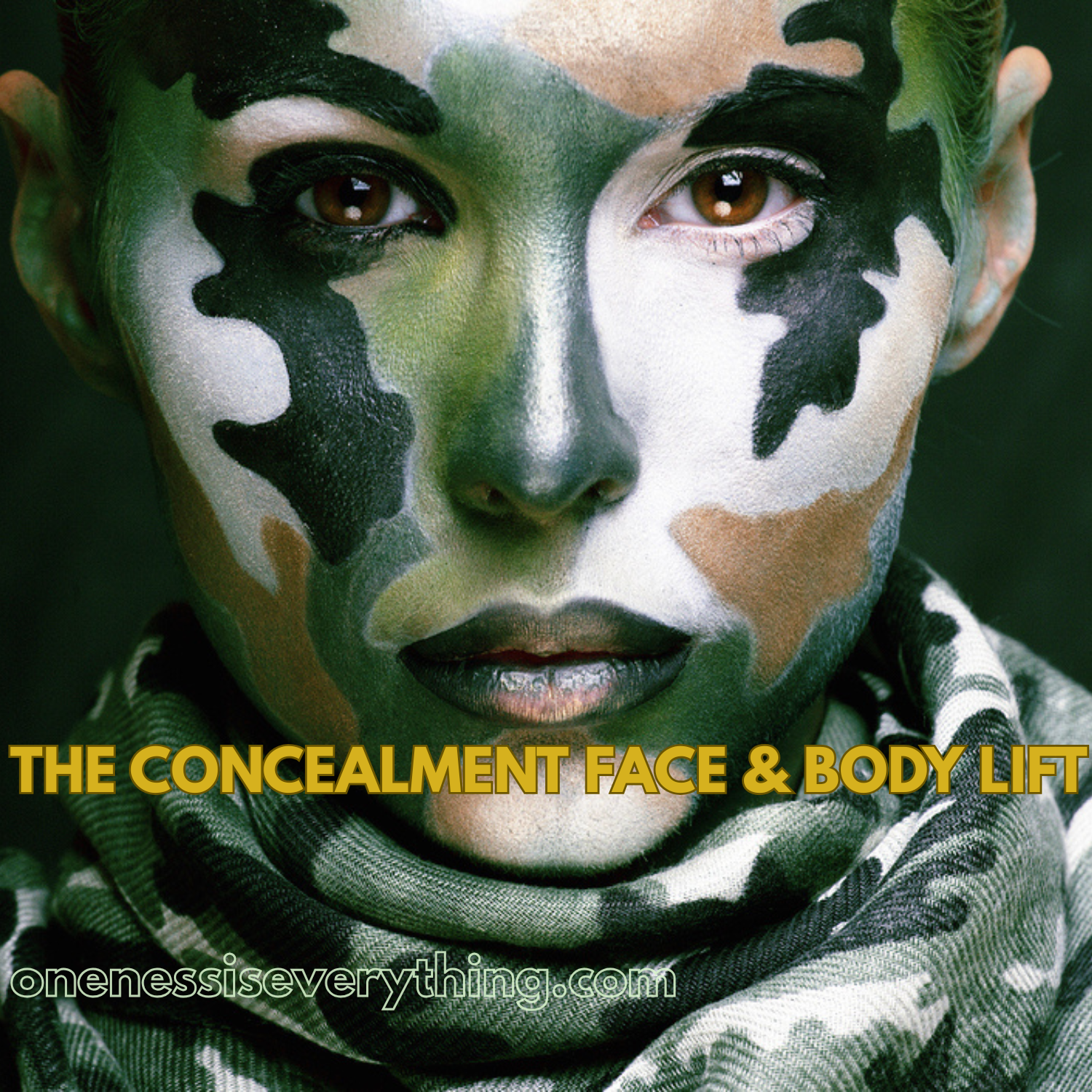 The Concealment Face & Body Lift  mp3 - Energy for Dealing with Blocks and Triggers