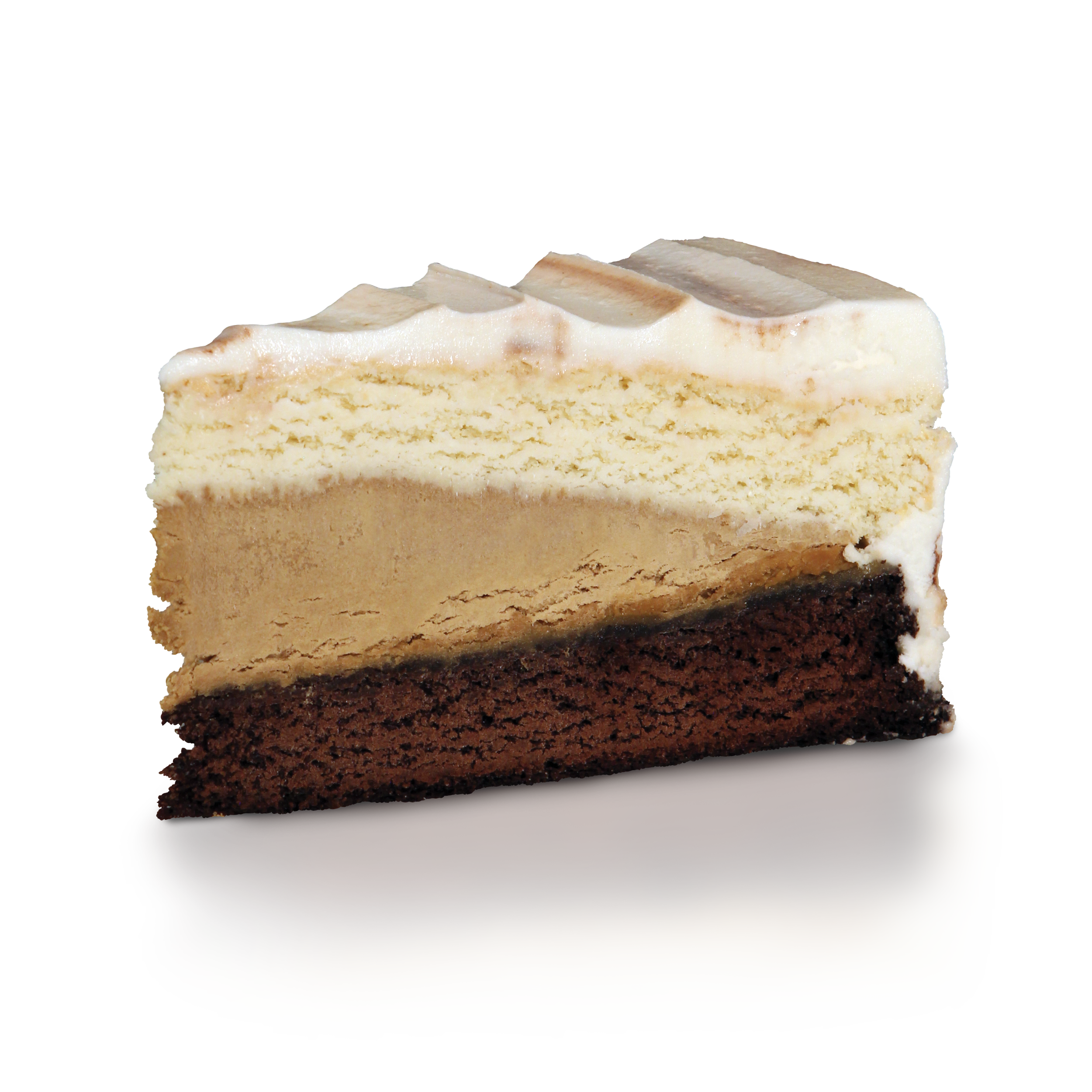 Salted Caramel Cold Brew Slice.png (Copy)