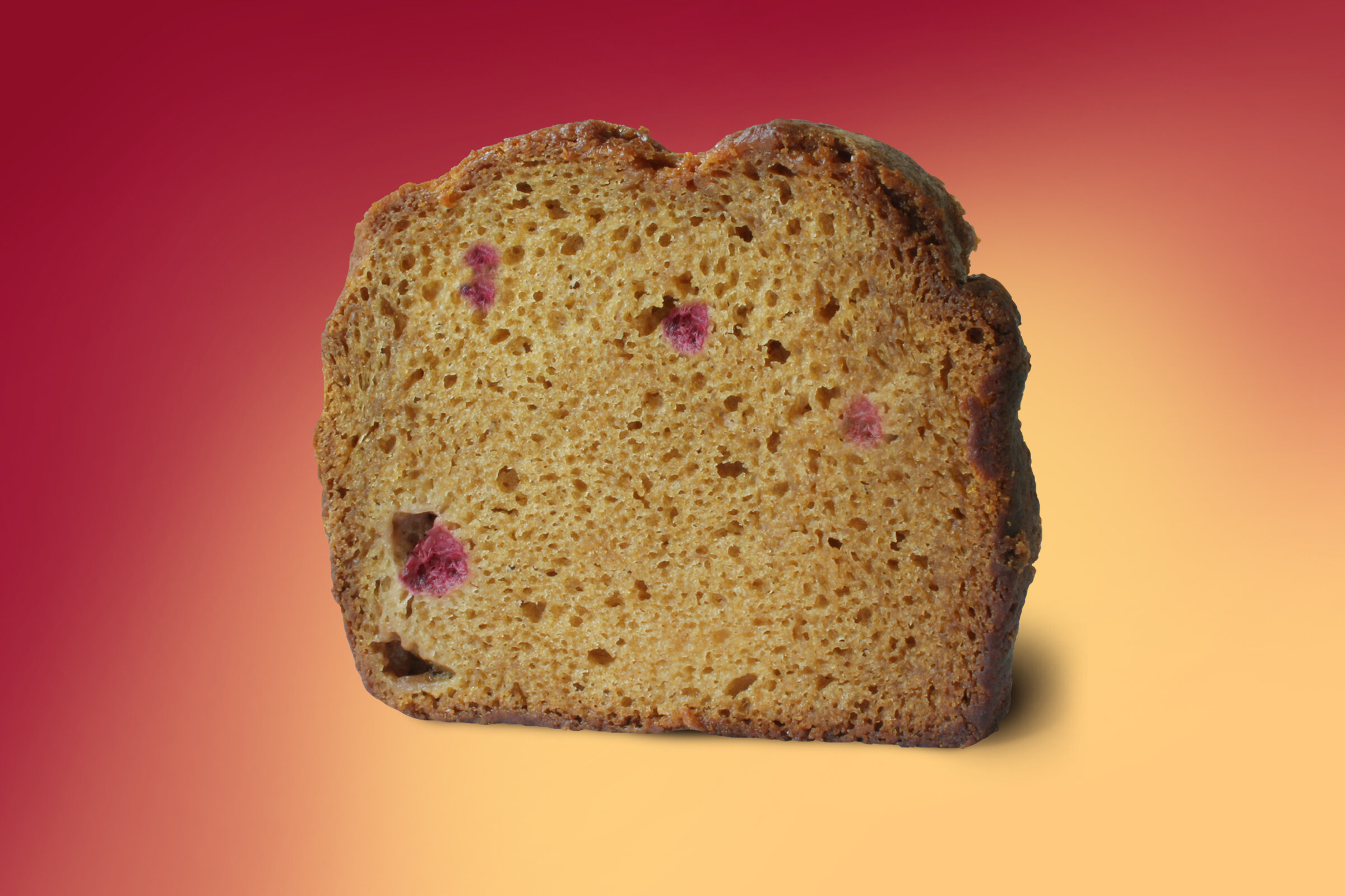 AppleCranberryLoaf.jpg