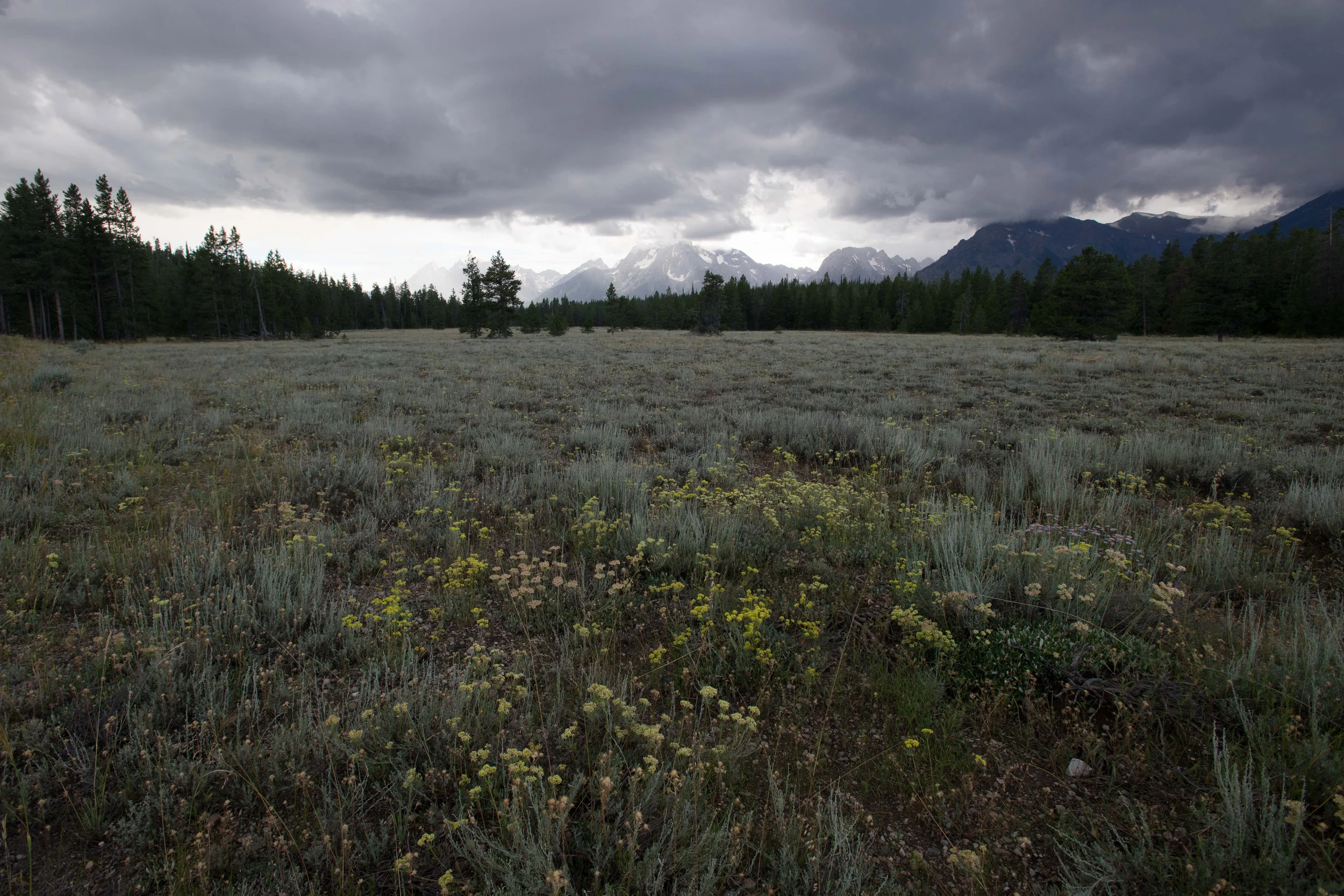 yellowstone-1c.jpg