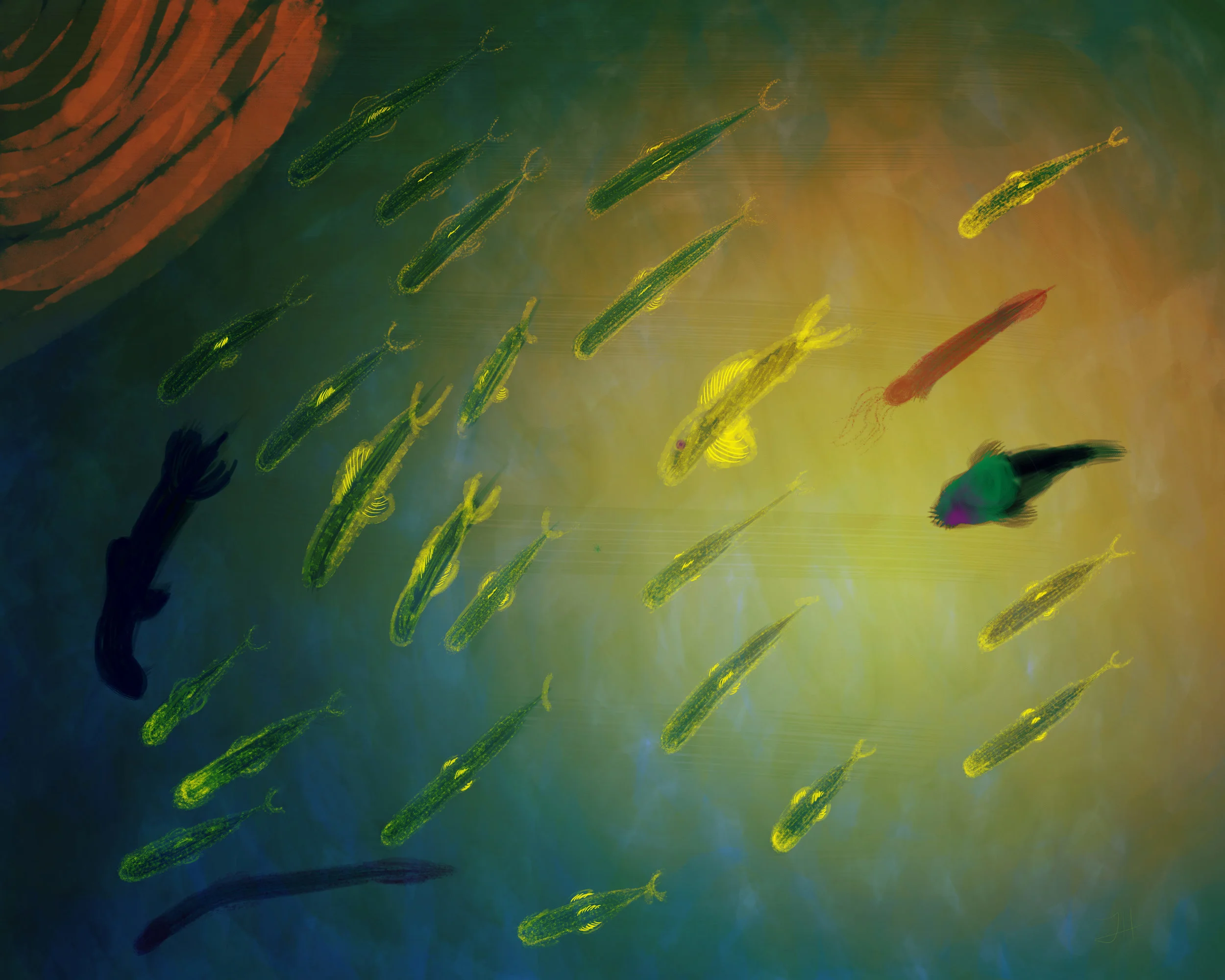 Photoshop - Surface Pro