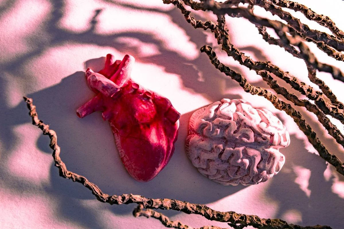 2-HeartAndMindConnection.jpg