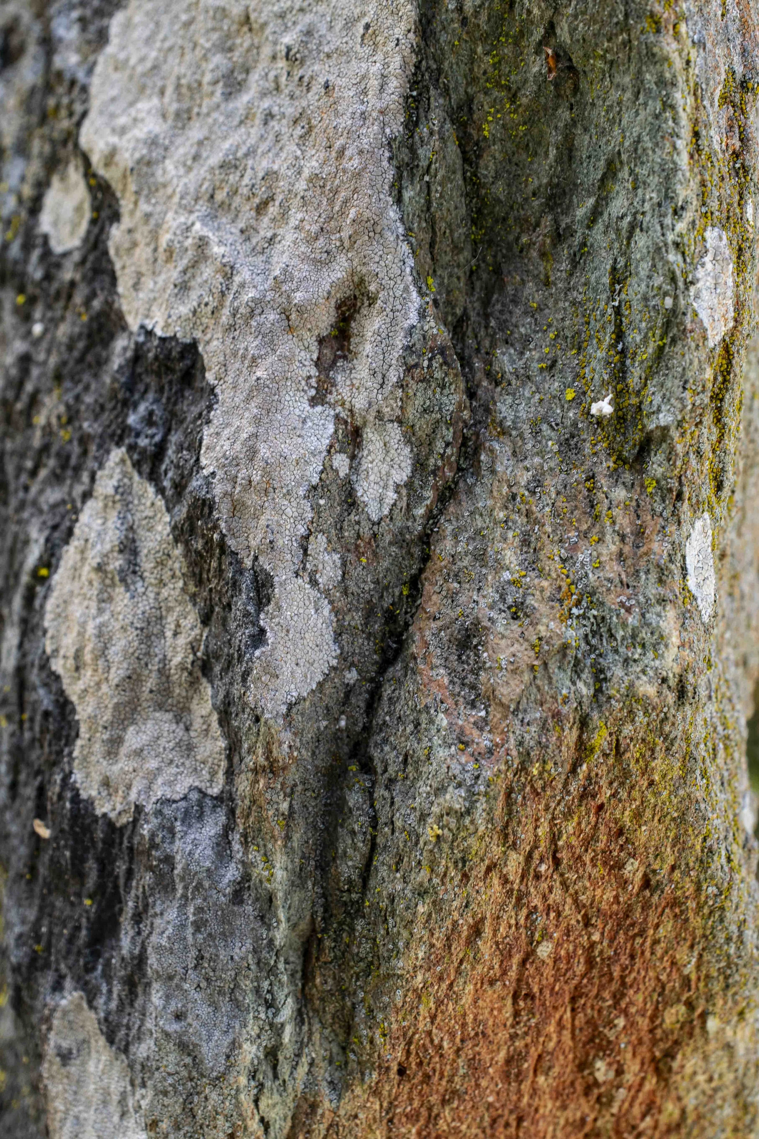 Abstract-3.jpg