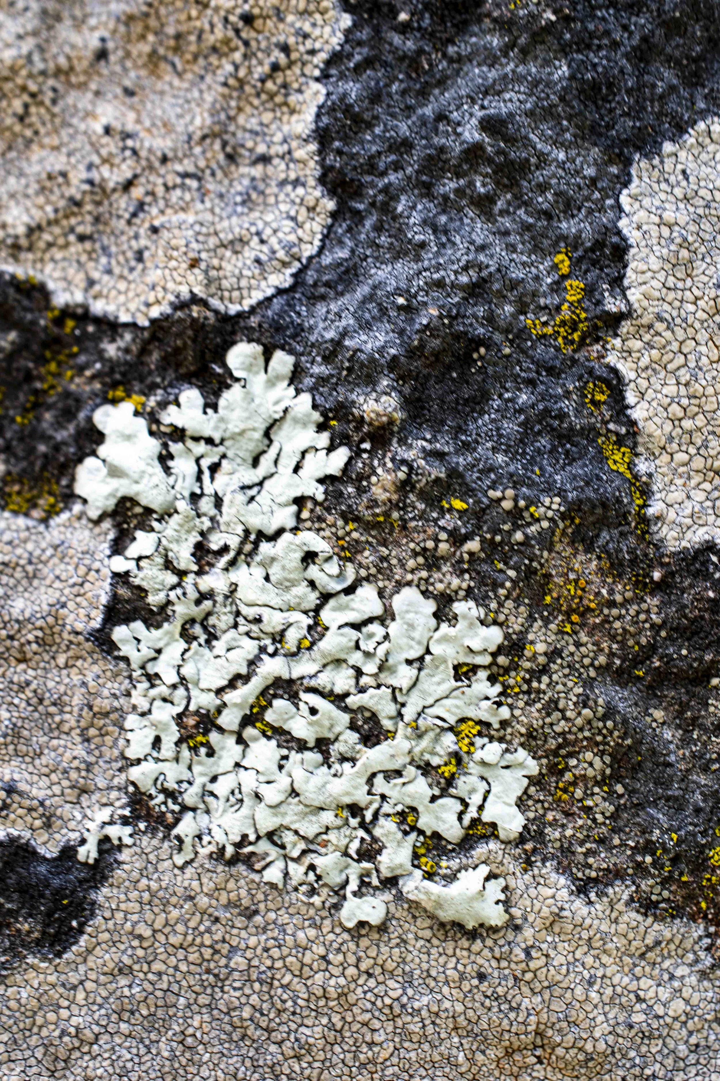 Abstract-2.jpg