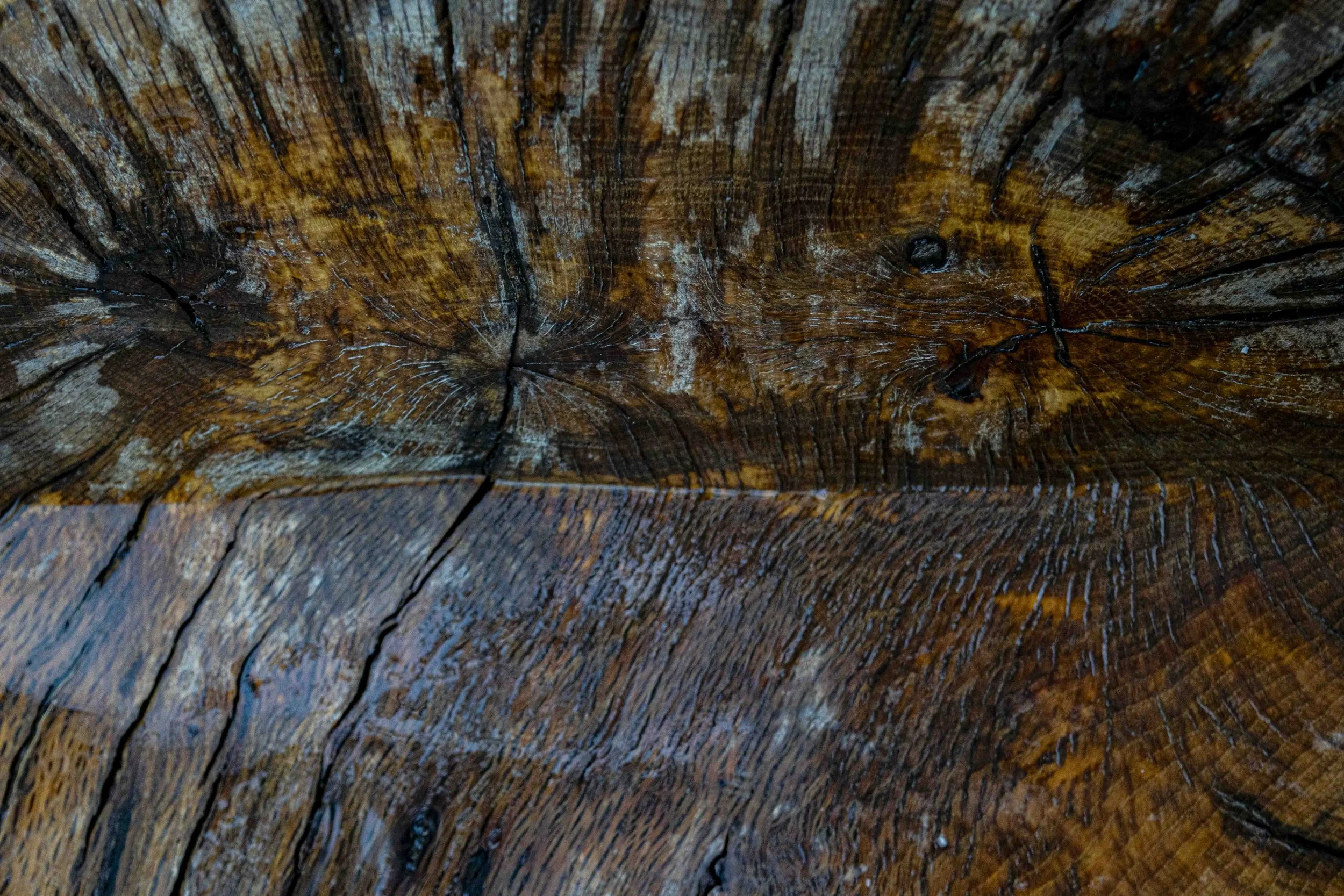 Abstract-5.jpg