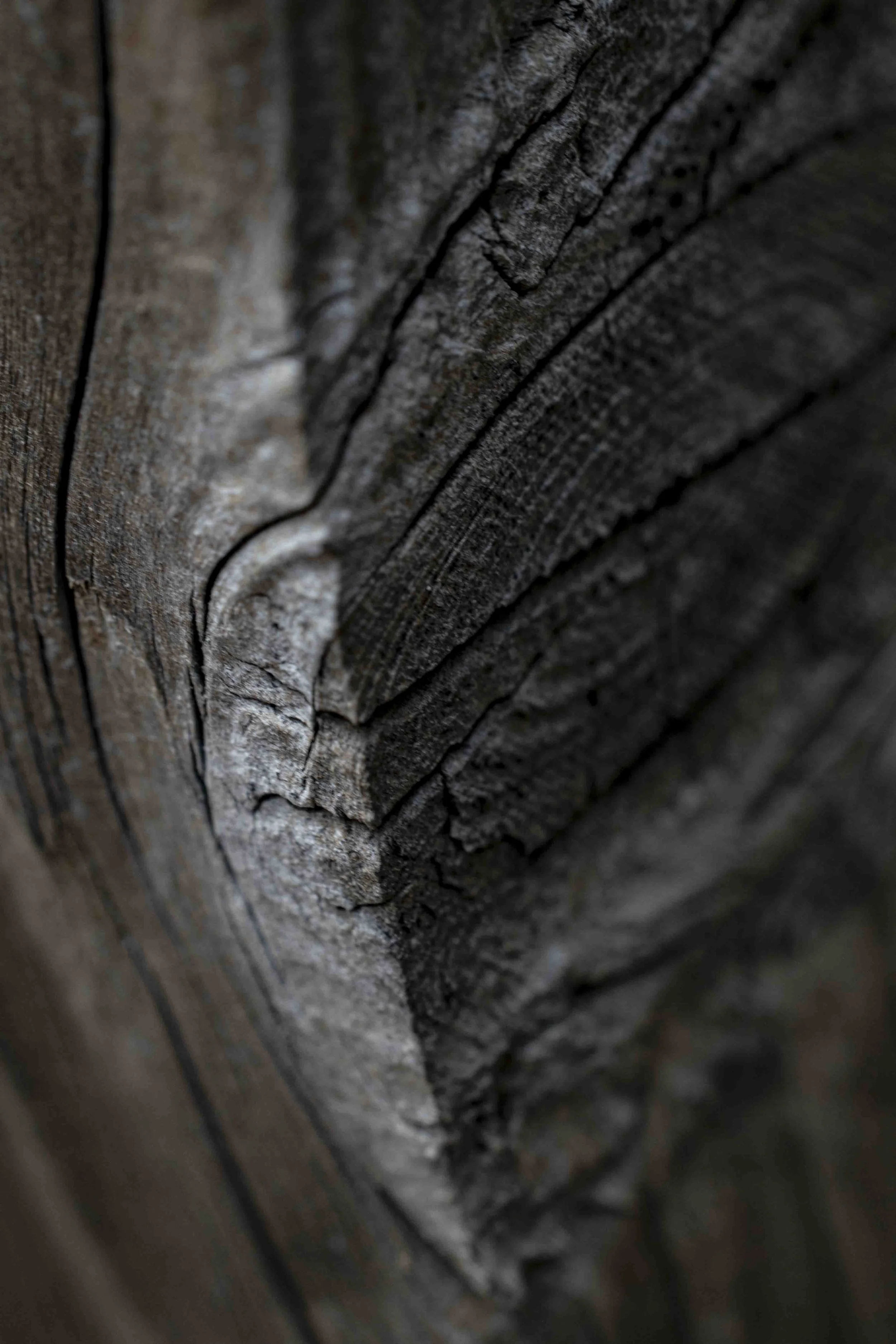 Abstract-6.jpg