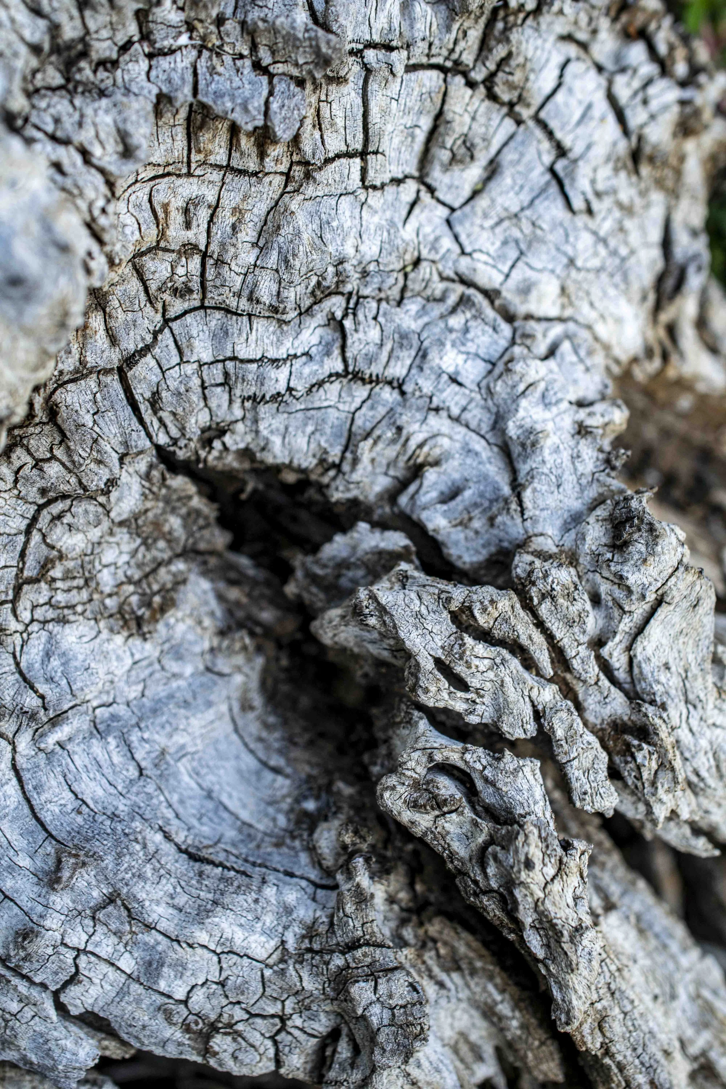 Abstract-8.jpg