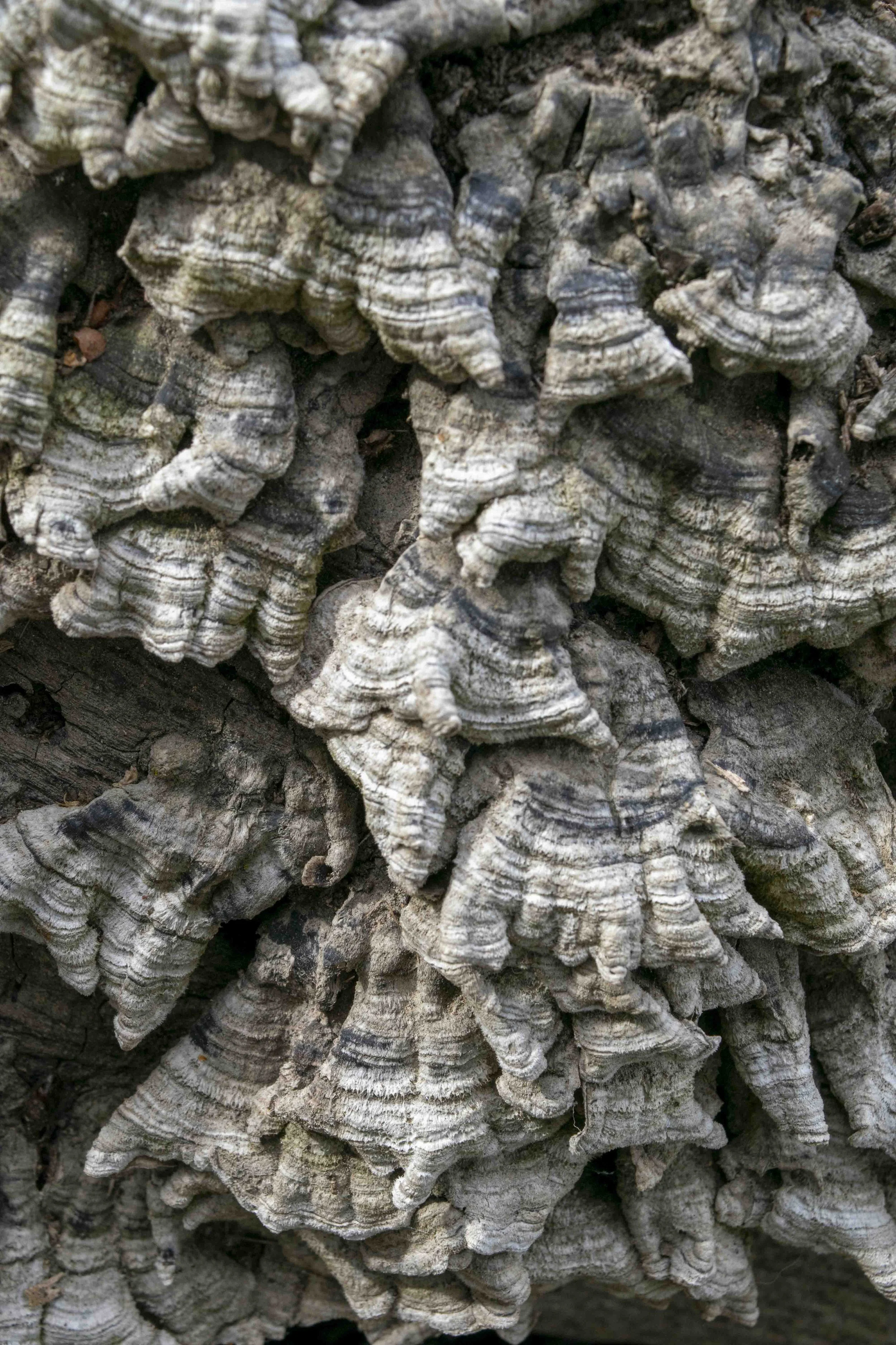 Abstract-10.jpg