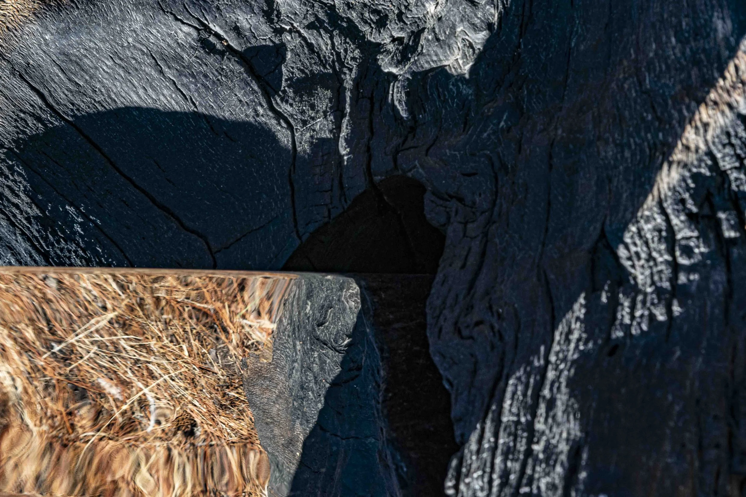 Abstract-20.jpg