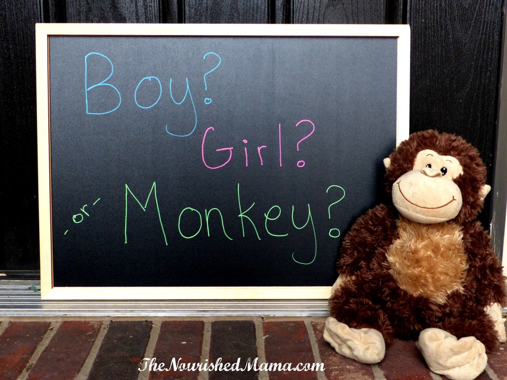 Boy, Girl, or Monkey Gender Reveal -- The Nourished Mama