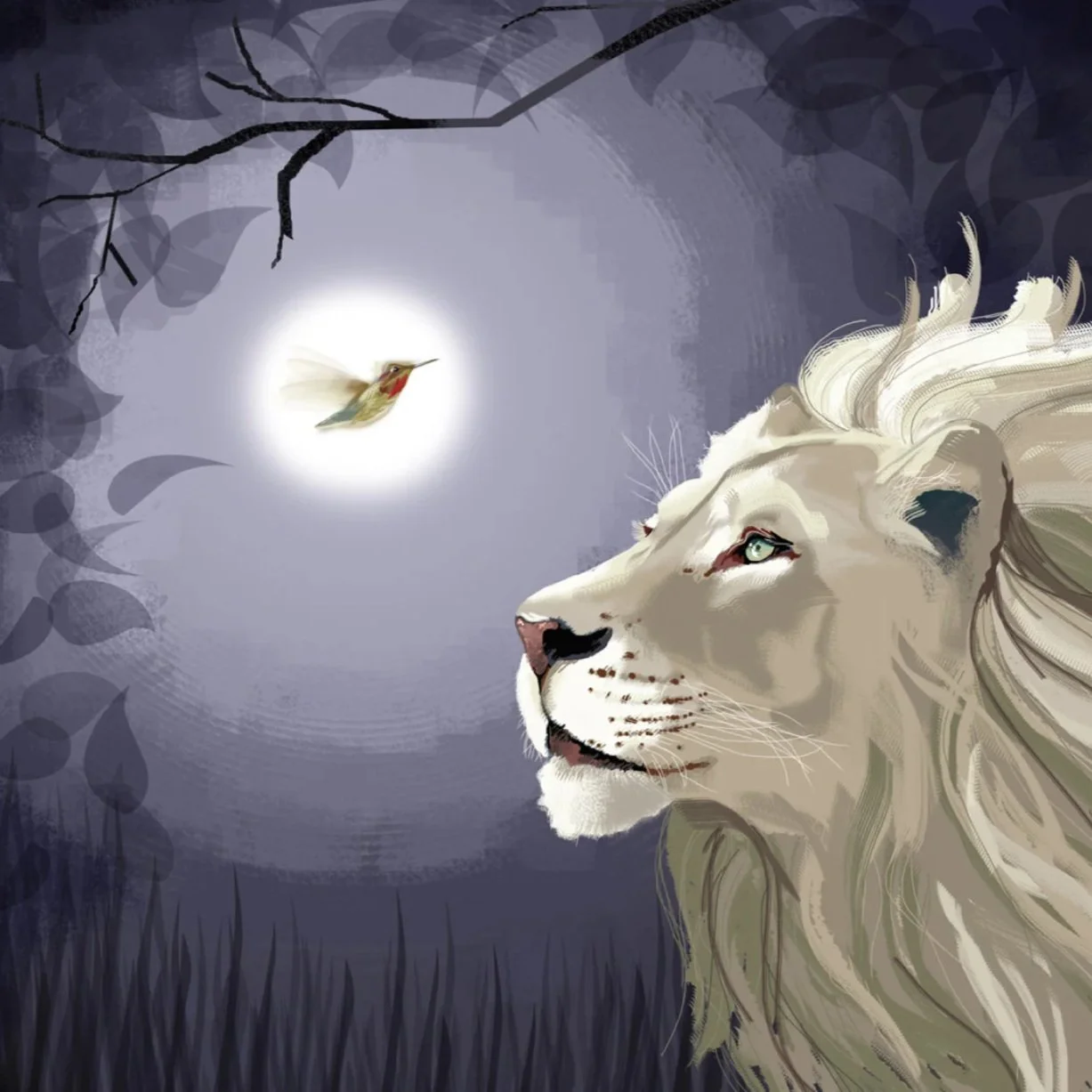 Lion.jpg