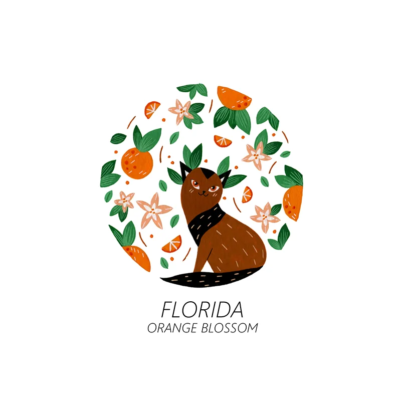 florida_web.jpg