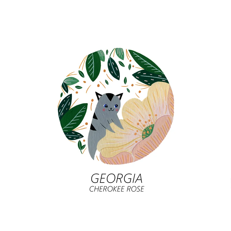 georgia_web.jpg