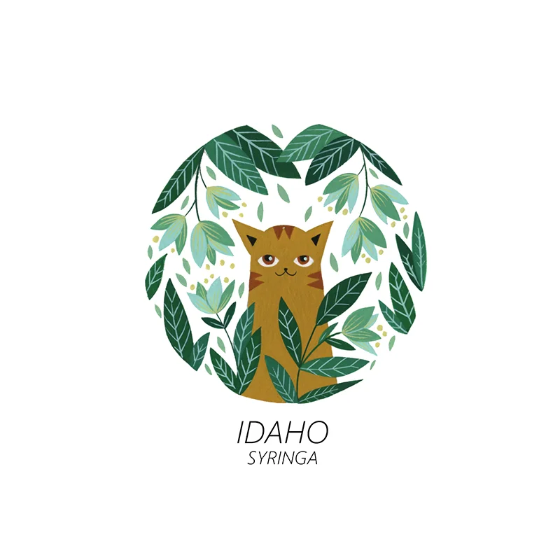 idaho_web.jpg